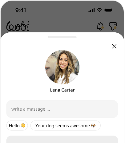 chat request screenshot