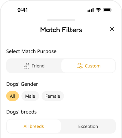 match filter screenshot